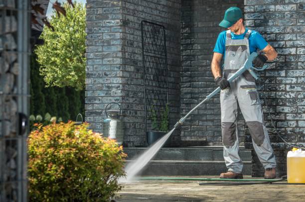 Animal Enclosure Cleaning in Elfers, FL