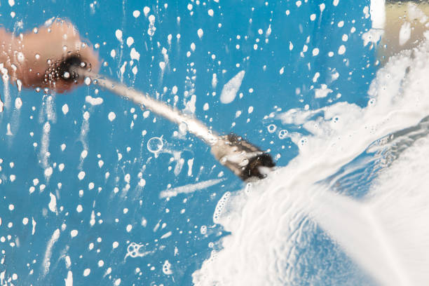 Best Spring Cleaning  in Elfers, FL