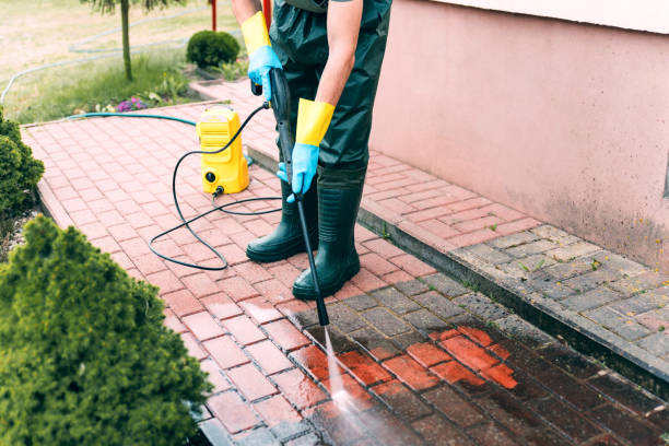 Best Animal Enclosure Cleaning  in Elfers, FL