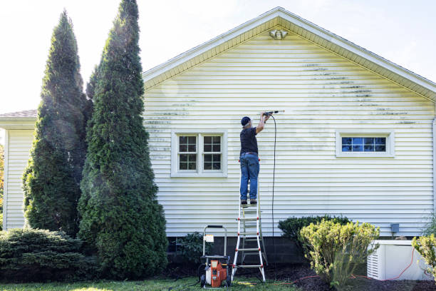 Elfers, FL Pressure Washing Services Company