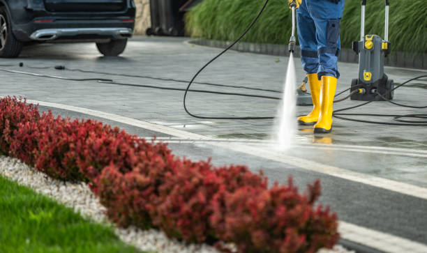 Best Roof Washing  in Elfers, FL
